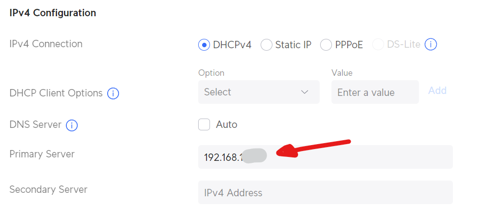This is how I set the DNS server for the entire local network on the UDM Pro.